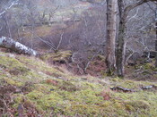 AMc129 IMG_3954 from N  over edge of slope dpwn to AMc128.JPG