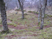 AMc129 IMG_3956 from N overview of HC from slope above .JPG
