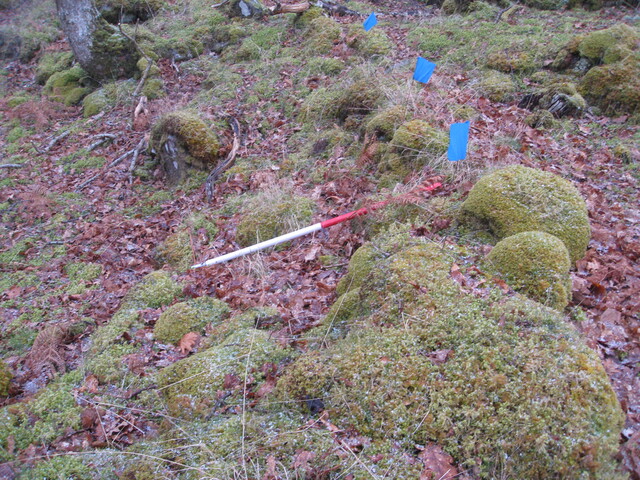 AMc129 IMG_3961 from S looking over C, intact wall section .JPG