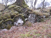 AMc129 IMG_3964 upright boulders in field wall running N-S and W of AMc128,129.JPG