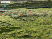 EHG5223_19.jpg