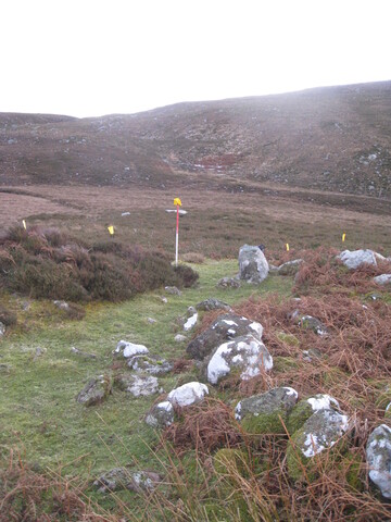 MHG58898_01.JPG