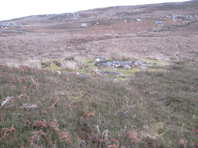 MHG58898_02.JPG