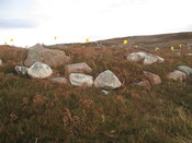 MHG58898_03.JPG