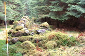 Spean1.JPG