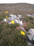 MHG58900_03.JPG