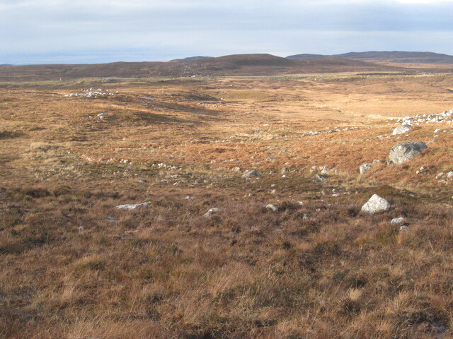 MHG58900_04.JPG