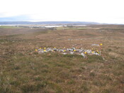 MHG58900_05.JPG
