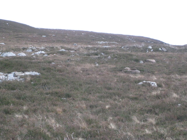 MHG58901_01.JPG