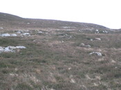 MHG58901_01.JPG