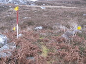 MHG58901_02.JPG