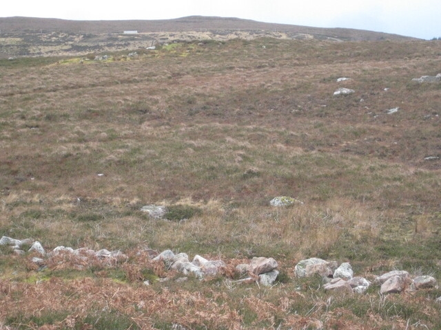MHG58901_03.JPG