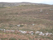 MHG58901_03.JPG