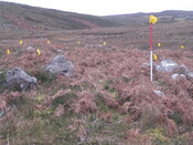 MHG58901_04.JPG