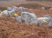MHG58904_01.JPG