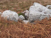 MHG58904_02.JPG