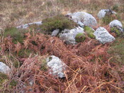 MHG58904_03.JPG