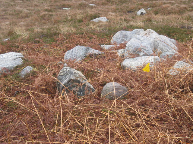 MHG58904_04.JPG