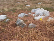 MHG58904_04.JPG