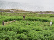 MHG58946_01.JPG