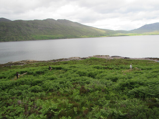 MHG58946_02.JPG