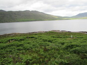 MHG58946_02.JPG