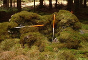 Spean2.JPG