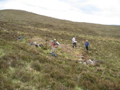 MHG58954_01.JPG