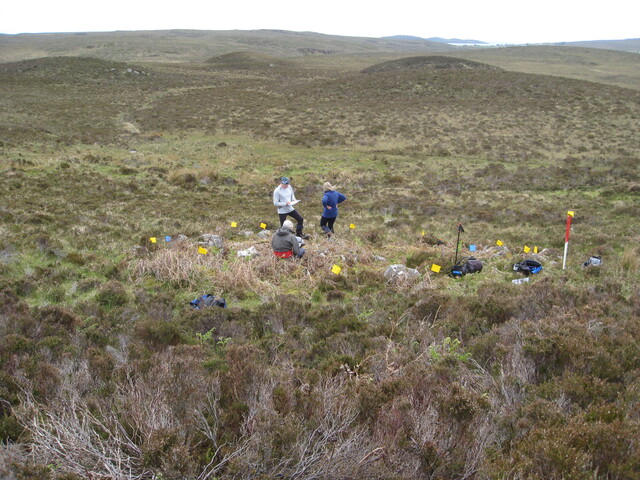 MHG58954_03.JPG
