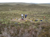 MHG58954_03.JPG