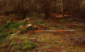 Spean3.JPG