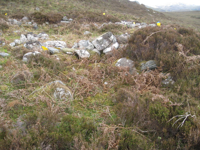 MHG58955_04.JPG