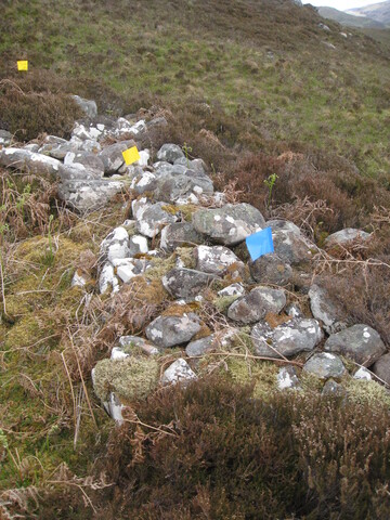 MHG58955_05.JPG