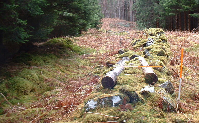 Spean4.JPG