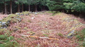 Spean5.JPG