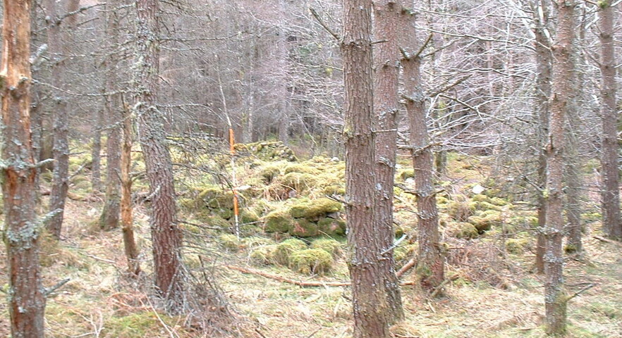 Spean6.JPG