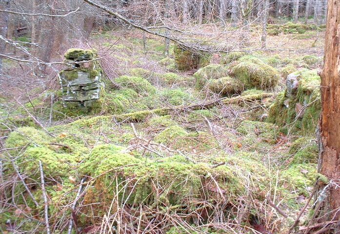 Spean7.JPG