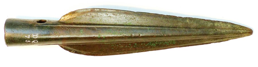 SHG28012_017.JPG