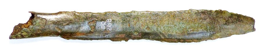 SHG28012_023.JPG