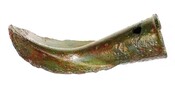 SHG28012_024.JPG