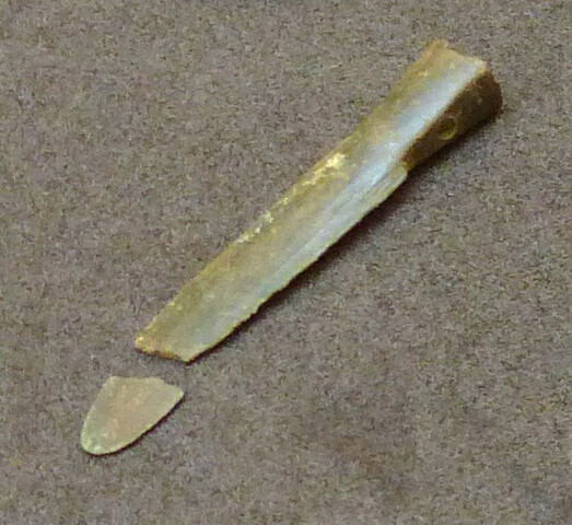 SHG28012_028.JPG