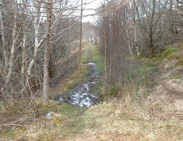 Spean9.JPG
