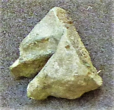 SHG28012_041.JPG