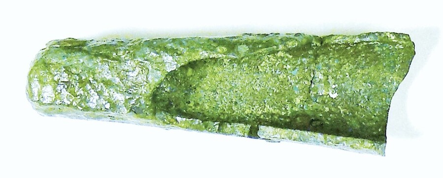 SHG28012_096.JPG