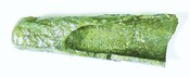 SHG28012_096.JPG