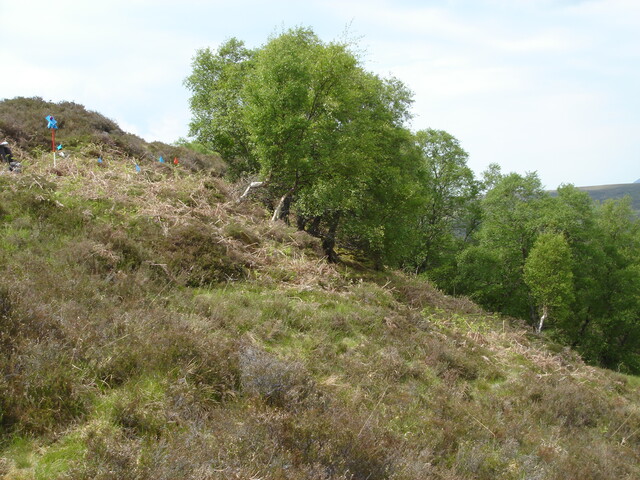 MHG6327_02.JPG