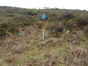 MHG6327_04.JPG