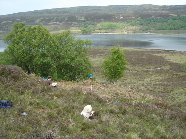 MHG6327_05.JPG