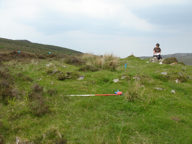 MHG7537_01.JPG