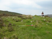 MHG7537_01.JPG